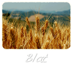 Blat